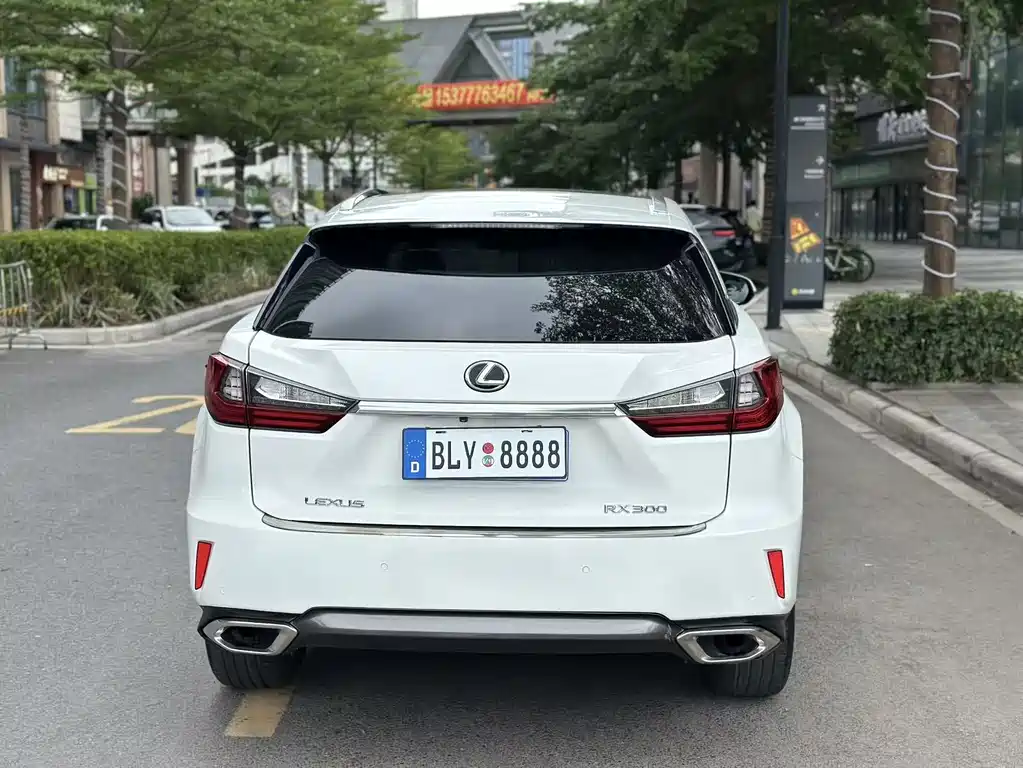 Lexus RX 300 4WD Elegant Edition China V, фото 10