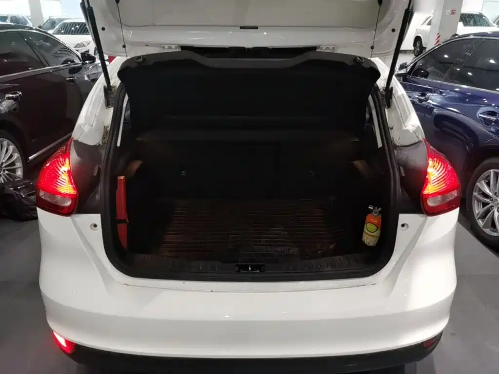 Ford Focus — миниатюра 19