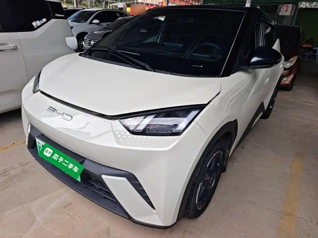 BYD Seagull 2023 Freedom
