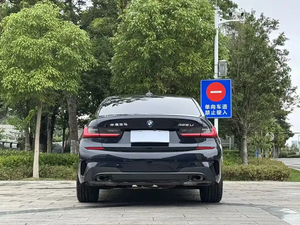 BMW 3 Series 3 2020 325Li M Sport