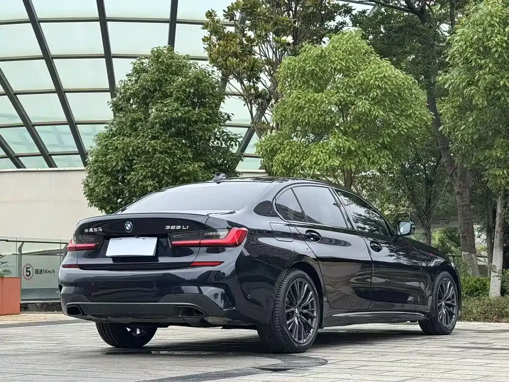 BMW 3 Series 3 2020 325Li M Sport