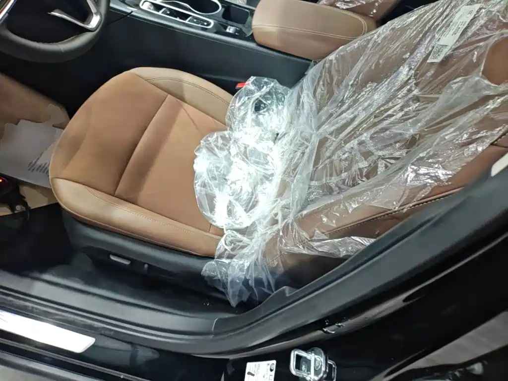 Buick Regal — миниатюра 15