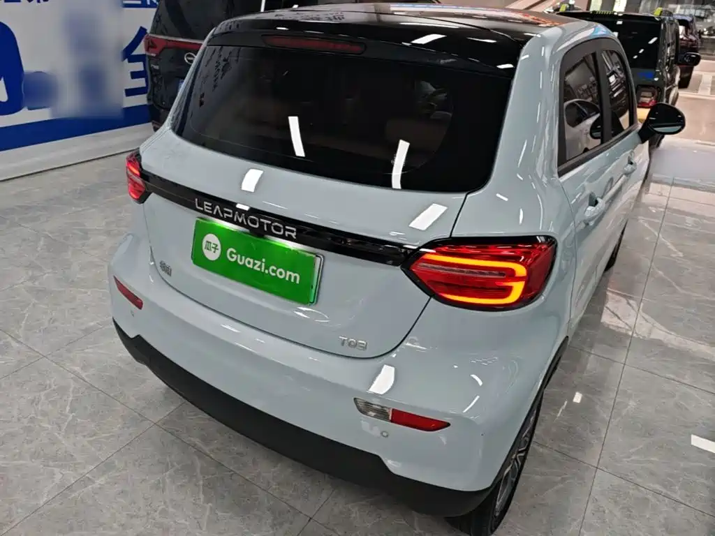 Leapmotor T03 2024 310