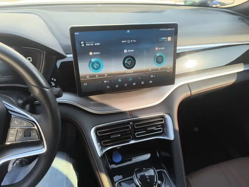 BYD PLUS — миниатюра 6