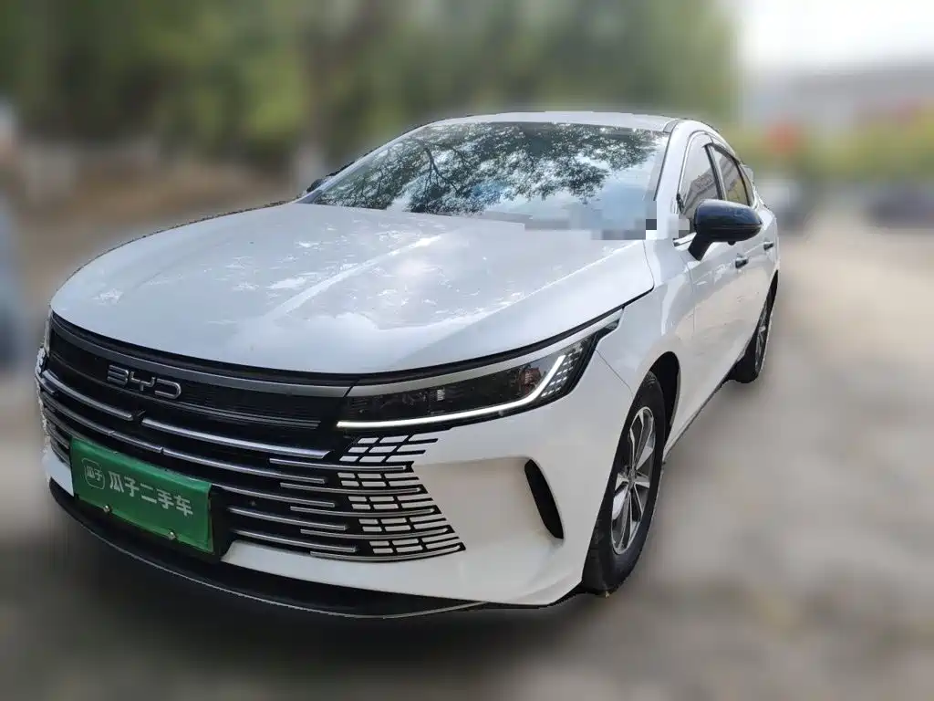 BYD Destroyer 05