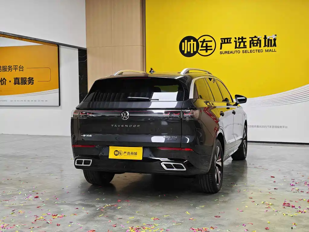 Volkswagen Tavendor — миниатюра 6