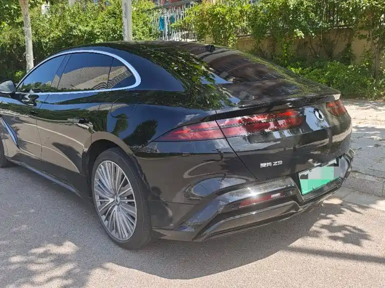 Denza Denza Z9 — миниатюра 4