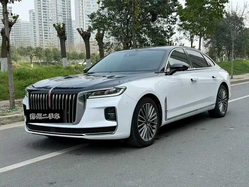 Hongqi Hongqi H9 2020