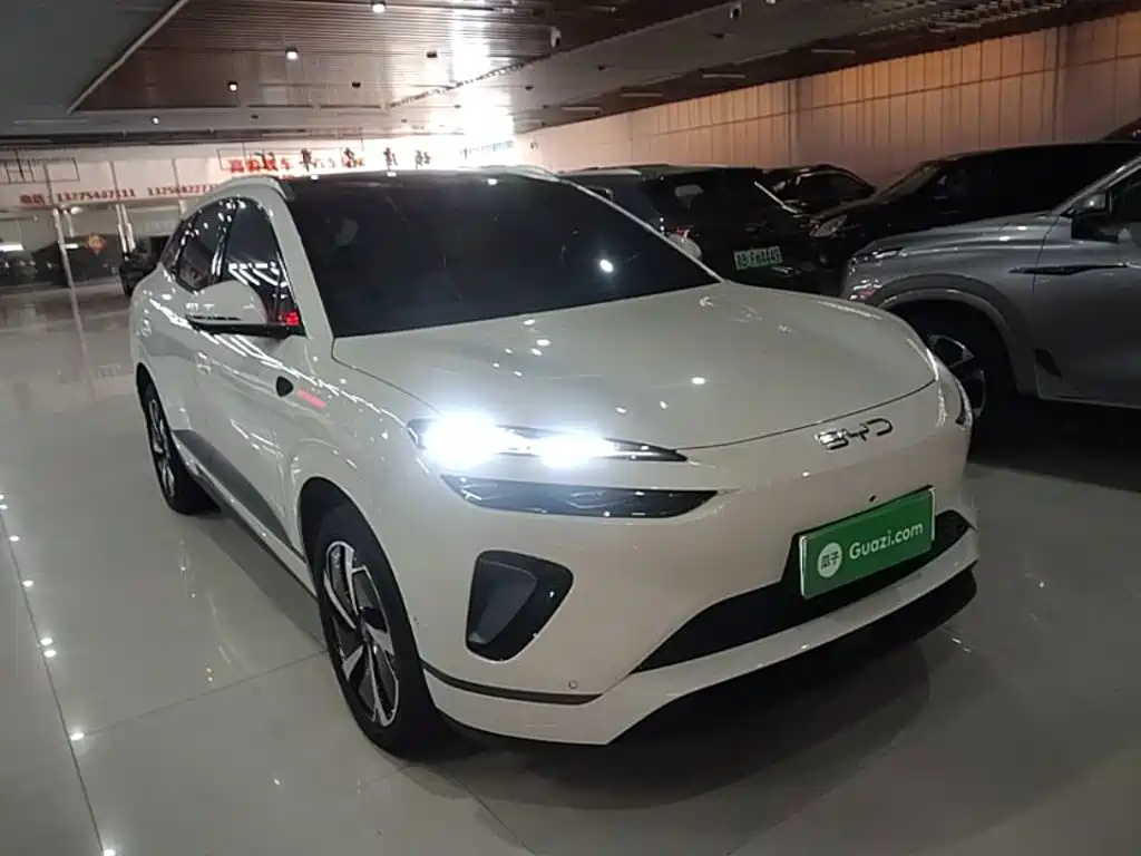 BYD Haisi 06 — миниатюра 4