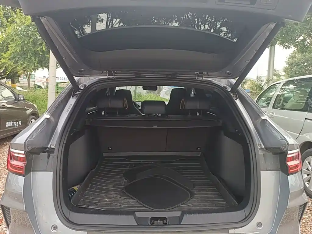 BYD PLUS New Energy — миниатюра 19