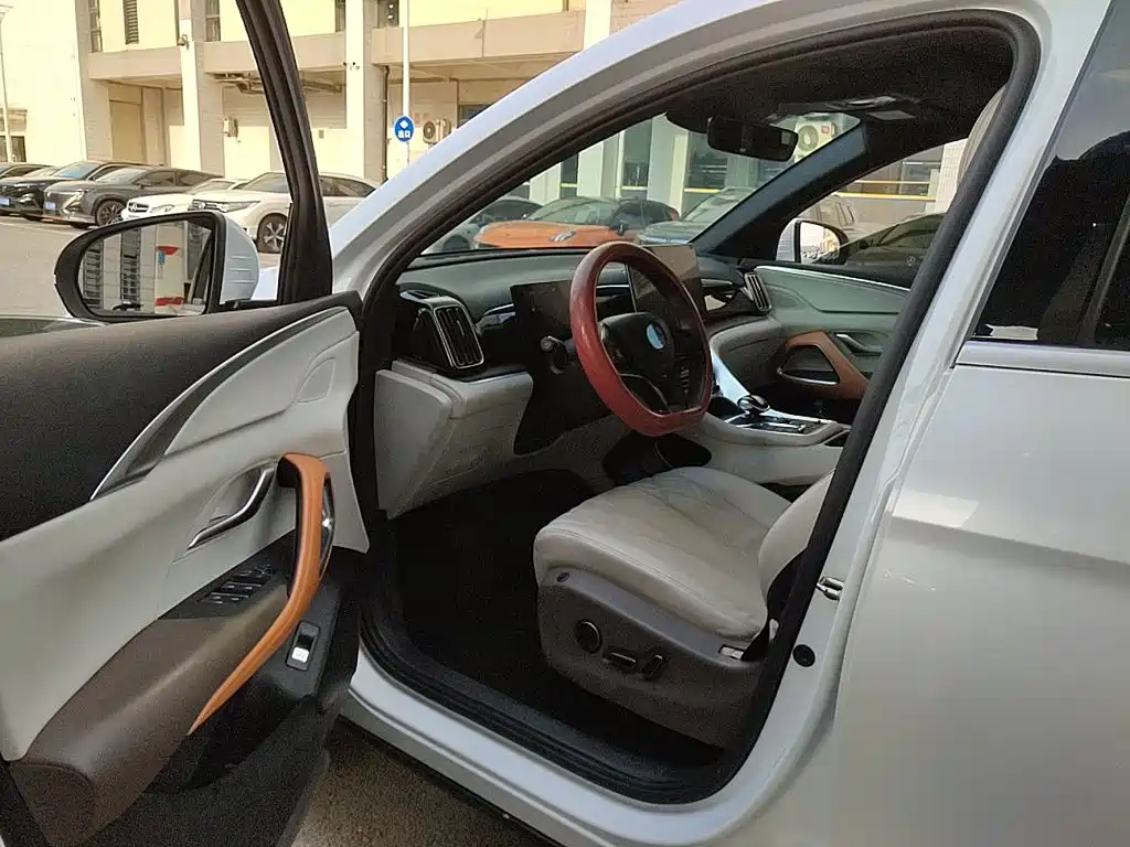 BYD Pro New Energy — миниатюра 14