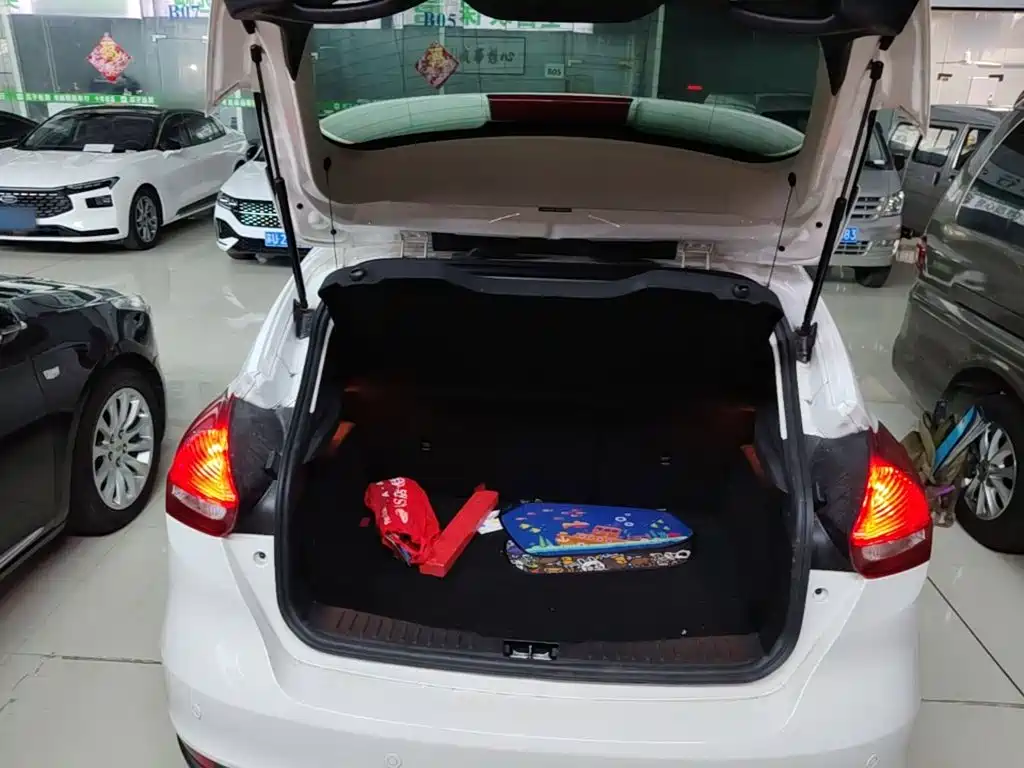 Ford Focus — миниатюра 19