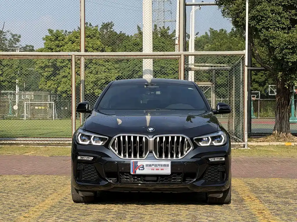 BMW X6 — миниатюра 3