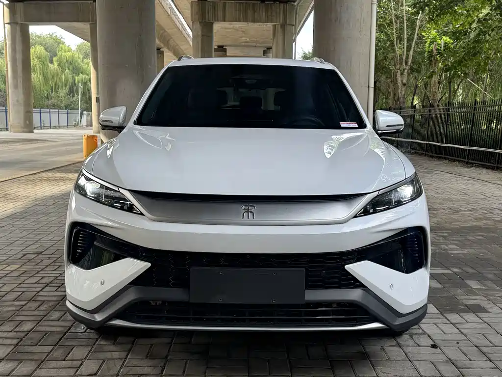BYD Pro New Energy — миниатюра 6