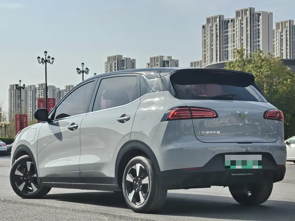 Wuling BinguoPLUS PLUS 2024 510km Flagship мест