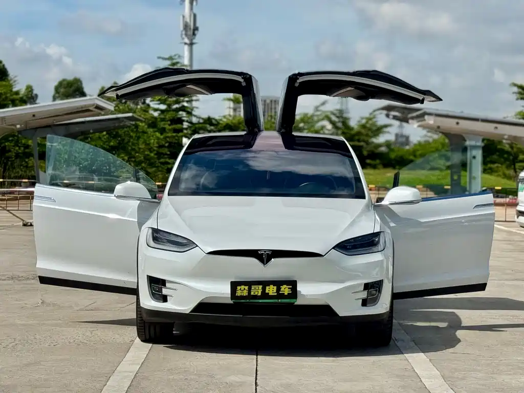 TESLA MODEL X