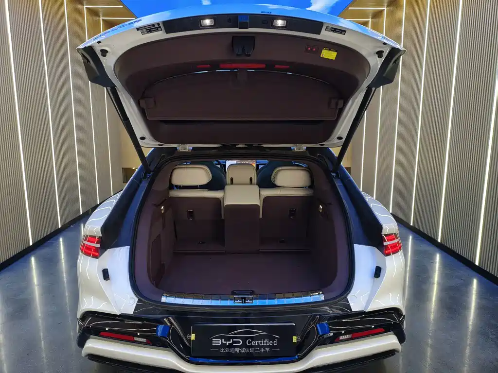 Denza Denza Z9GT — миниатюра 15