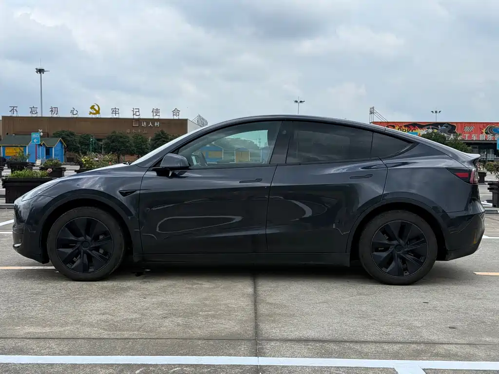 Tesla Model Y — миниатюра 2