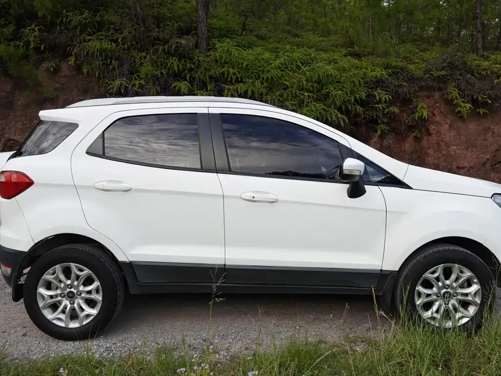 Ford Ecosport — миниатюра 17