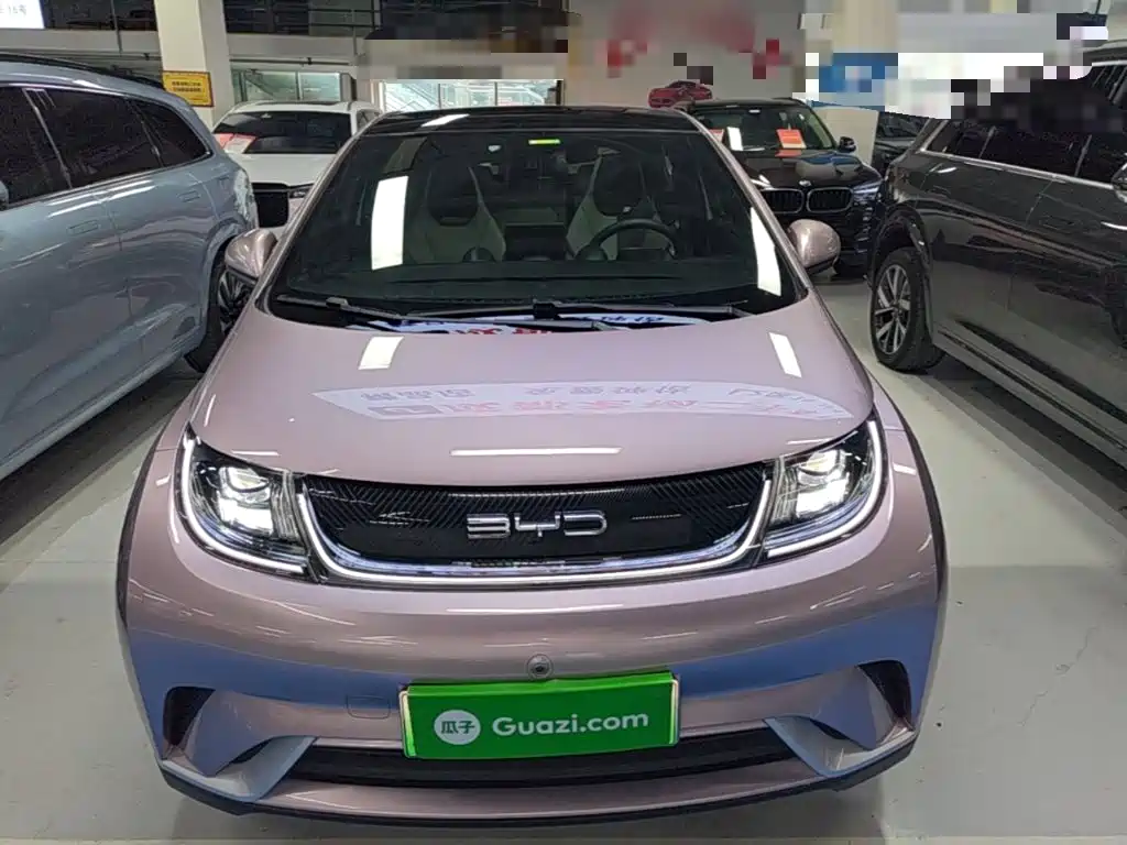 BYD Dolphin 2021 405km Fashion