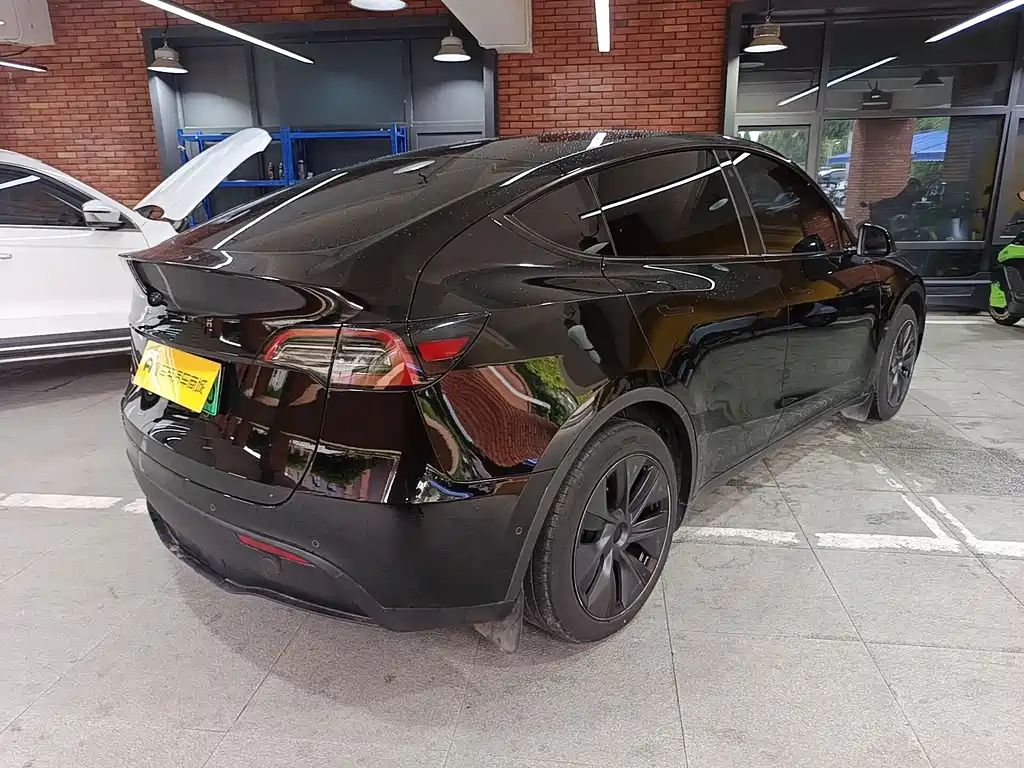 Tesla Model Y — миниатюра 4