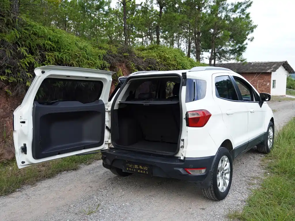 Ford Ecosport — миниатюра 11