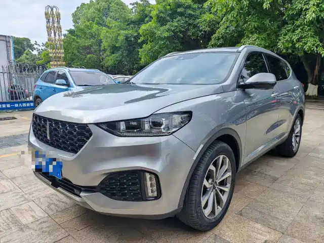 2020 Wey VV6