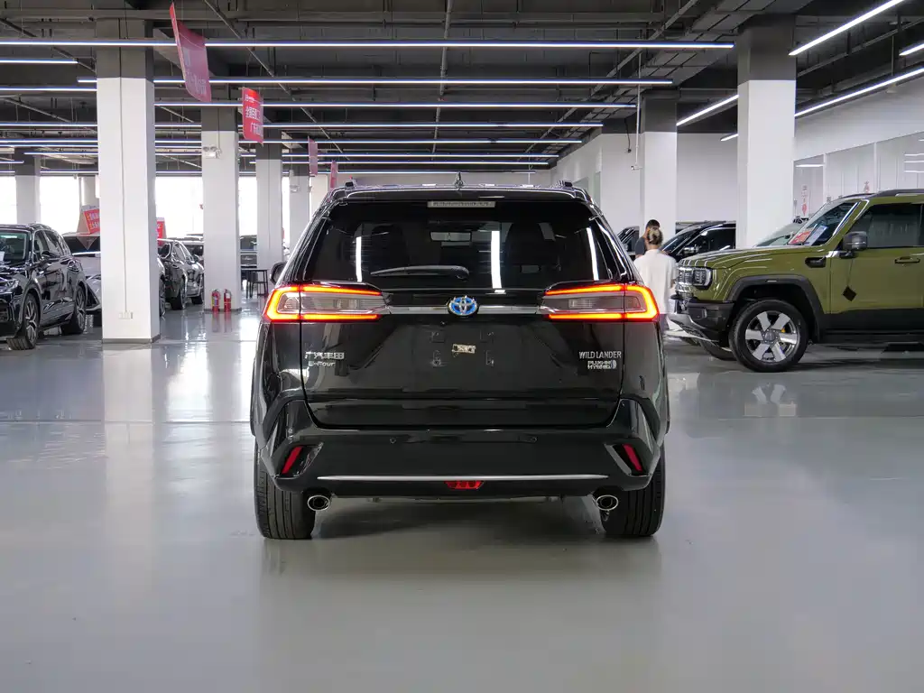 Toyota Wildlander New Energy — миниатюра 7