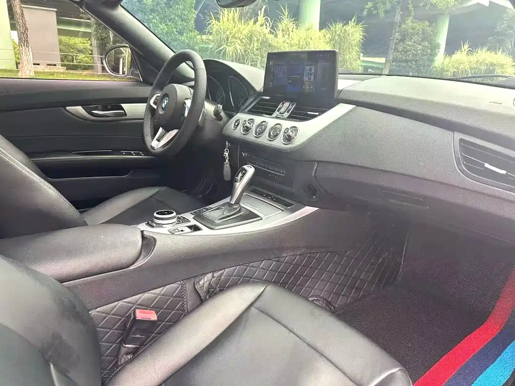 BMW Z4 2009 sDrive23i Lead