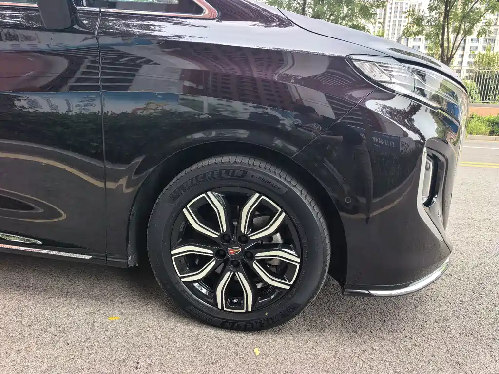 Hongqi Hongqi HQ9 — миниатюра 19