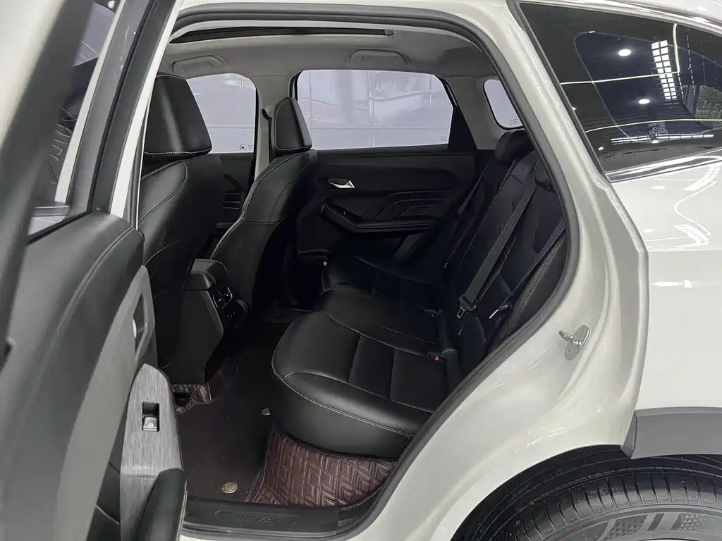 Haval Chitu — миниатюра 12