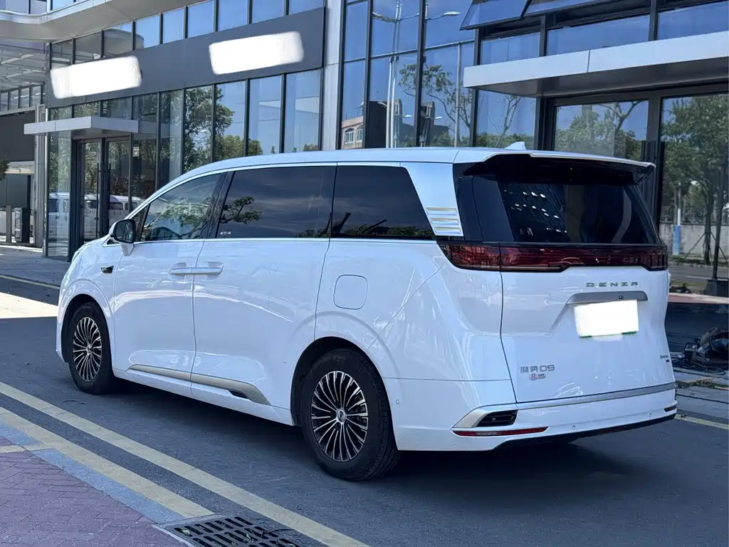 Denza Denza D9 — миниатюра 4
