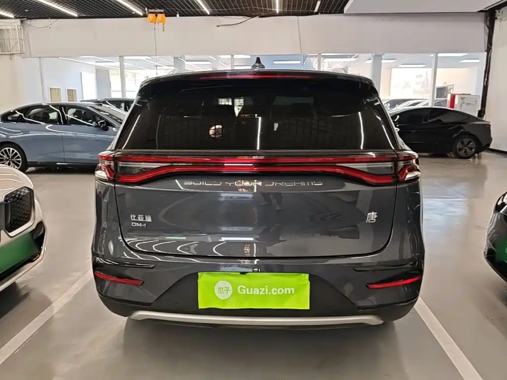 BYD Tang New Energy — миниатюра 6
