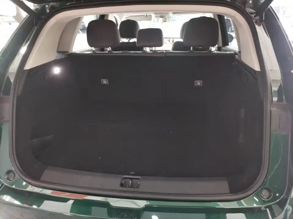 Leapmotor C10 2024 530