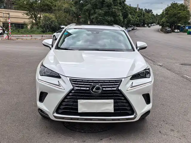 LEXUS  NX 2019
