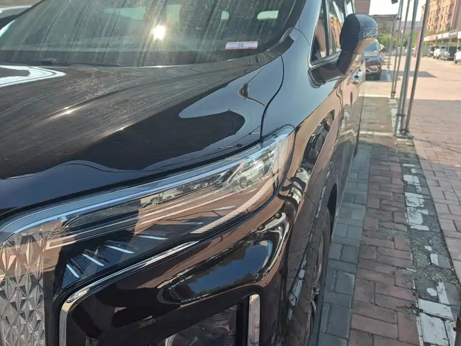 Hongqi Hongqi HQ9 PHEV — миниатюра 5