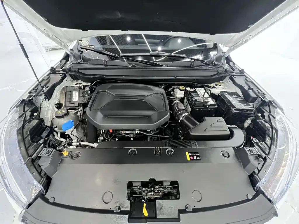 Haval Chitu — миниатюра 20