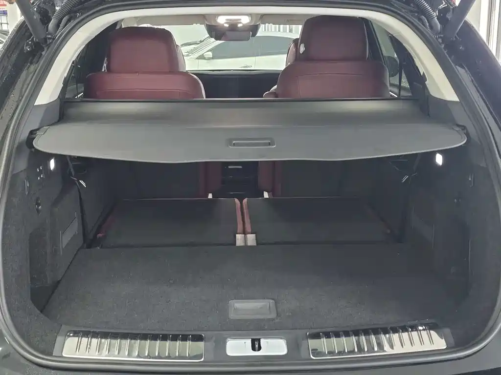 Hongqi Hongqi E-HS9 — миниатюра 10