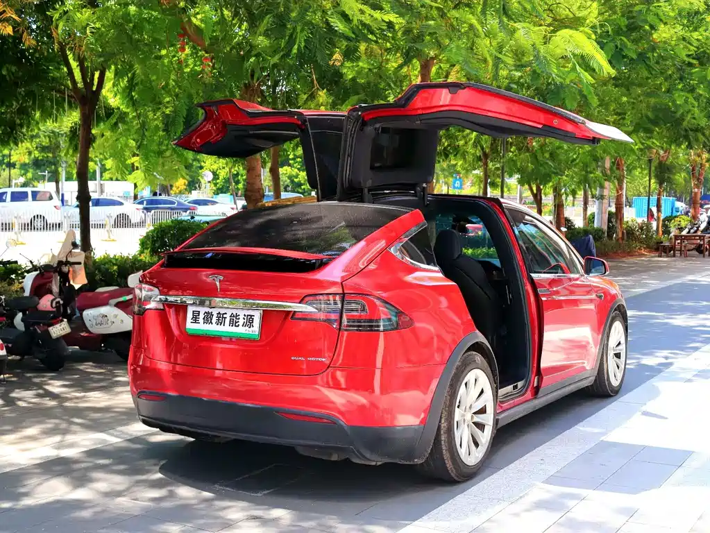 Tesla Model X — миниатюра 18