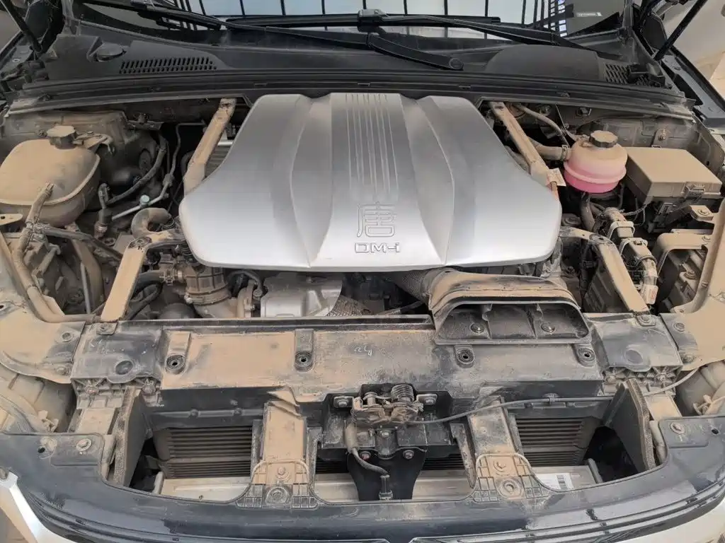 BYD Tang New Energy — миниатюра 21