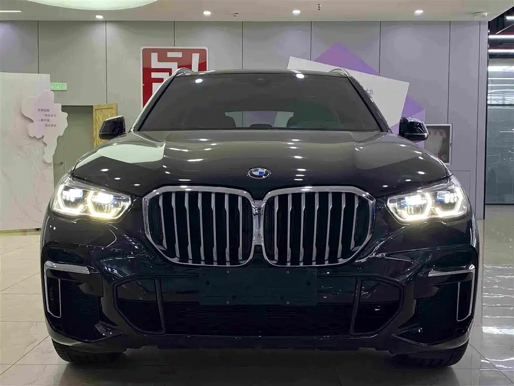 BMW X5 — миниатюра 2