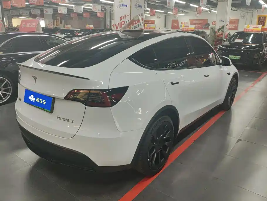 Tesla Model Y — миниатюра 3
