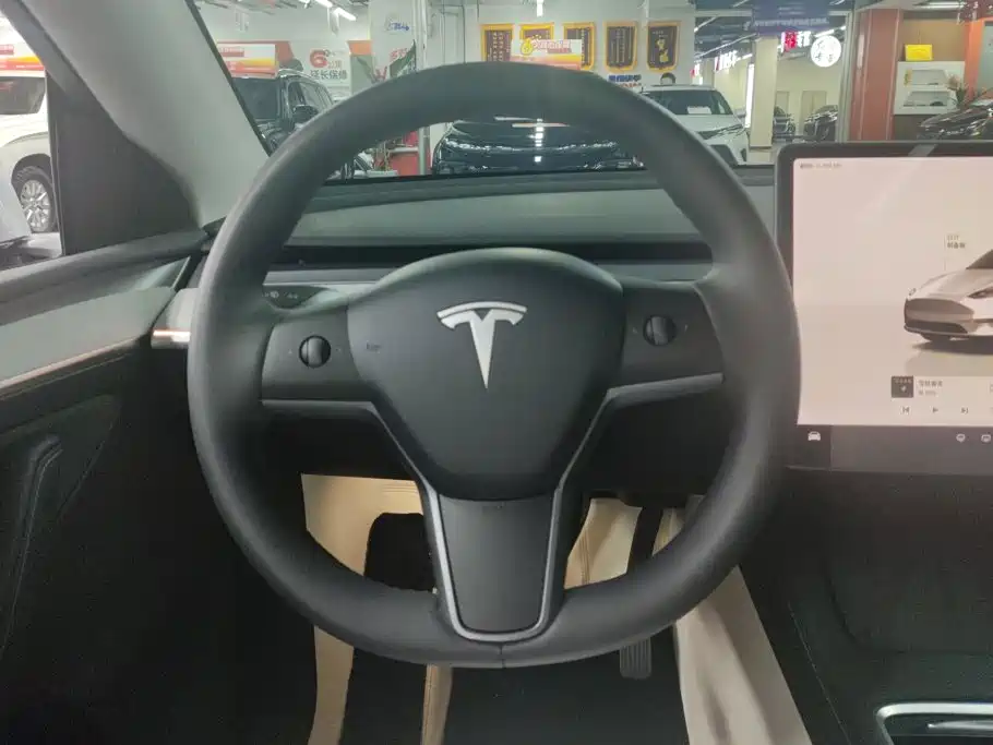 Tesla Model Y — миниатюра 15