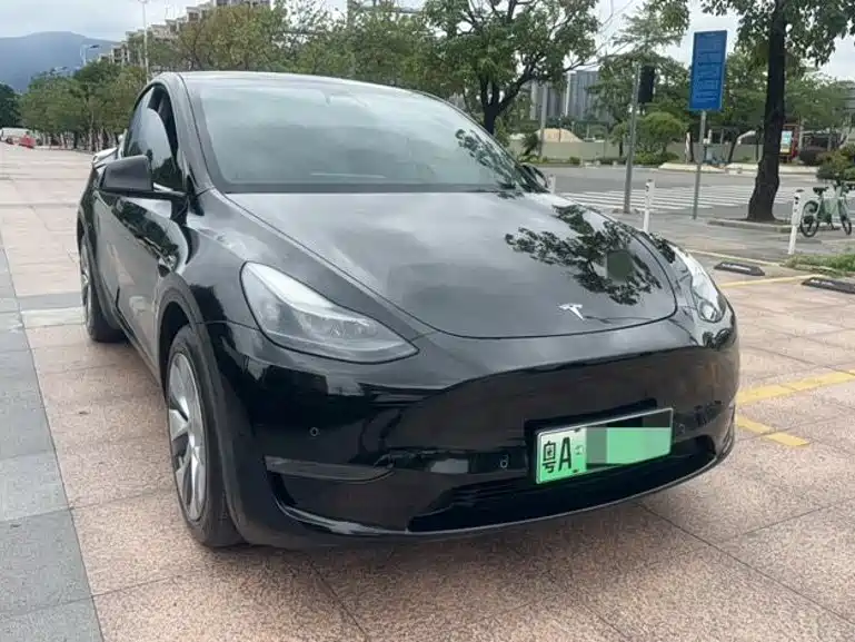 Tesla Model Y — миниатюра 3