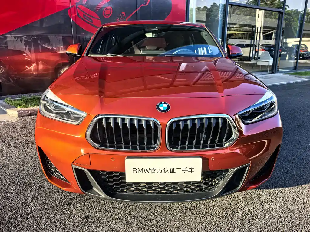 BMW X2 — миниатюра 2