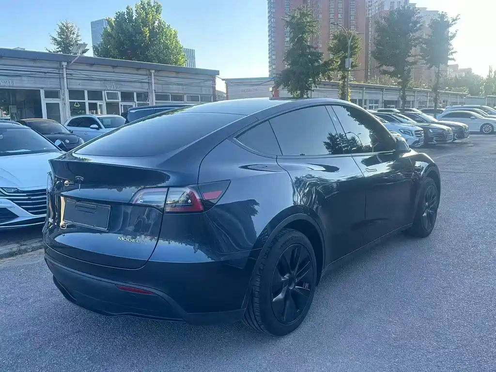 Tesla Model Y — миниатюра 11