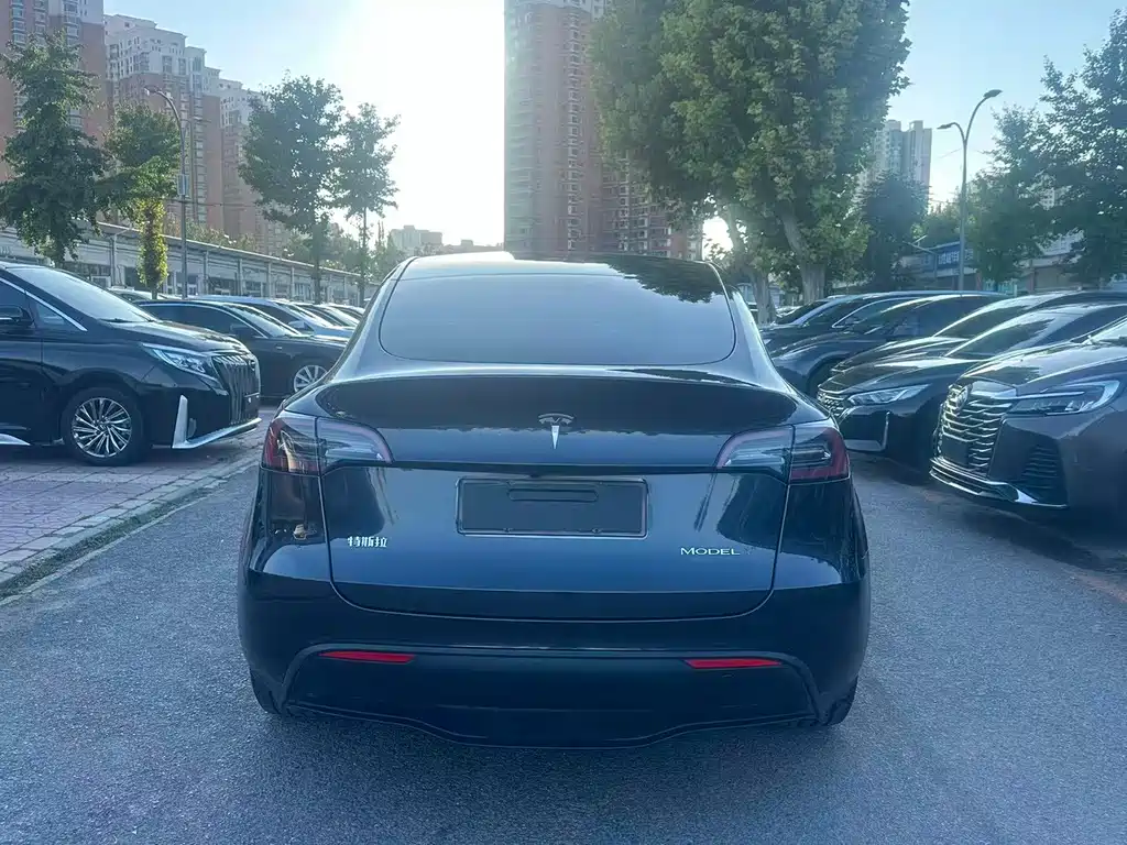 Tesla Model Y — миниатюра 10