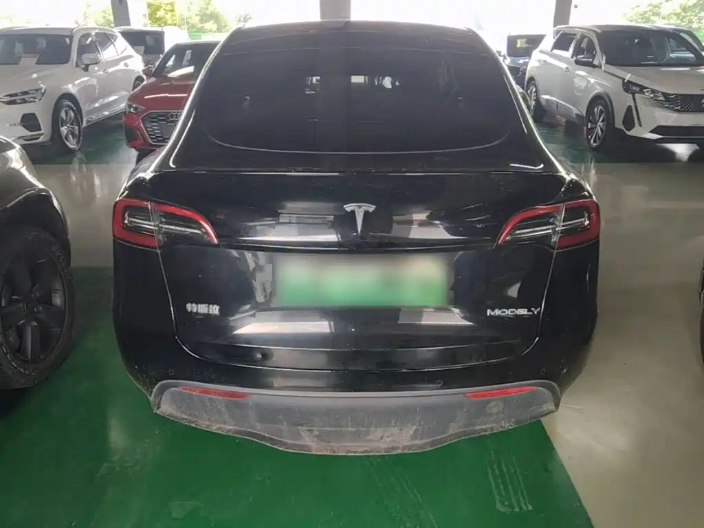 Tesla Model Y — миниатюра 6