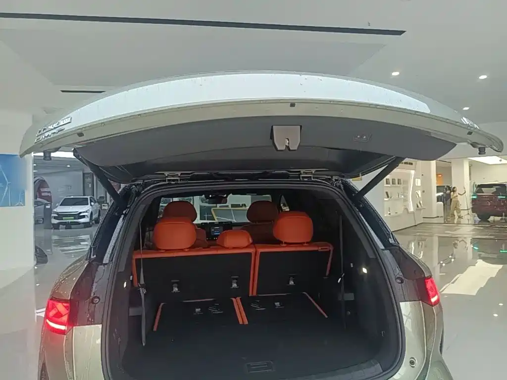 BYD Дон Л. — миниатюра 15