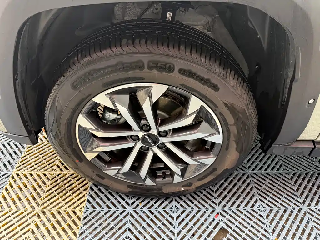Haval Big Dog PLUS — миниатюра 4